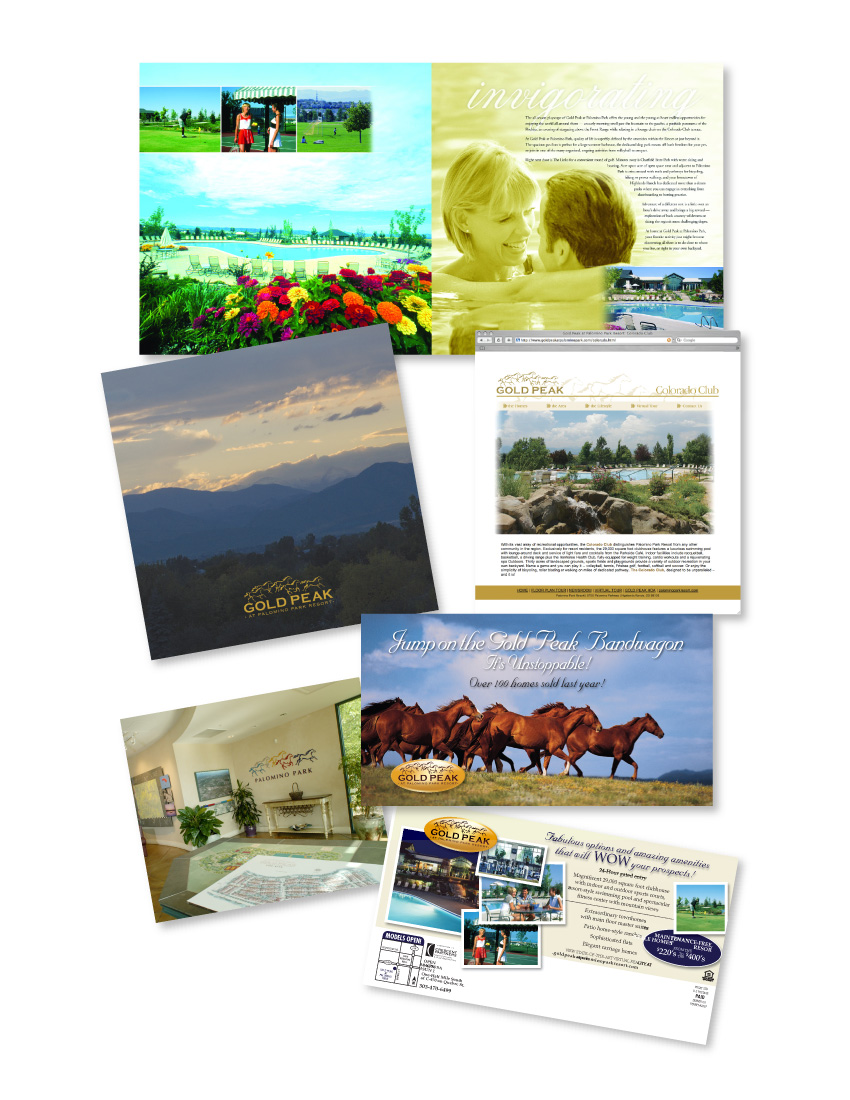 Coldwell Banker Residential - Developer Services Division Case Study : Gold Peak at Palomino Park